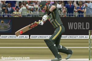 longest-cricket-game